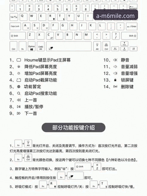 米乐M6官方平台安全吗？新手入门必备知识指南